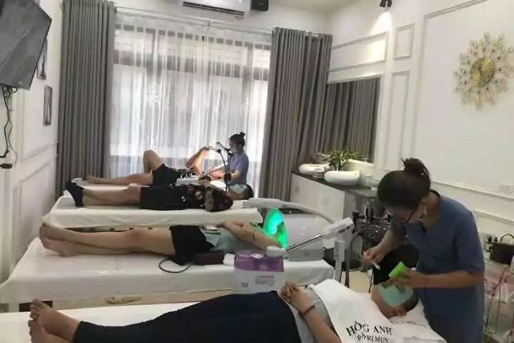 Hồng Anh Bắc Giang