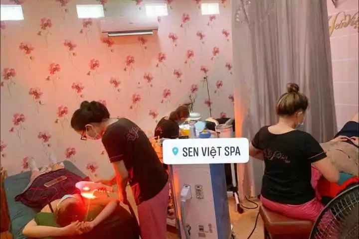 Sen Việt Spa Bình Định