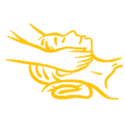 3 1