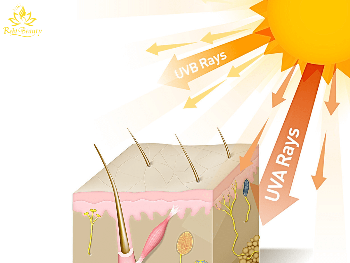 Tia UVA gây lão hóa, sạm da, trong khi tia UVB gây cháy nắng và tăng nguy cơ ung thư da