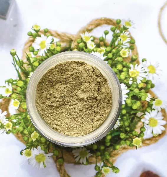 BỘT MẶT NẠ THUỐC BẮC (TRỊ MỤN)