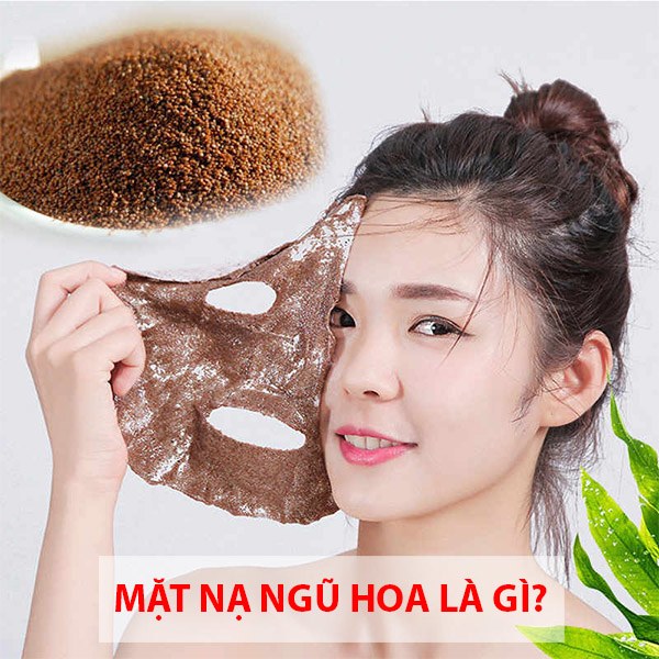 Mặt Nạ Tự Nhiên Trị Mụn Trắng Da Hiệu Quả Từ Hạt Ngũ Hoa Mat Na Tu Nhien Tri Mun Trang Da Hieu Qua Tu Hat Ngu Hoa Image 2