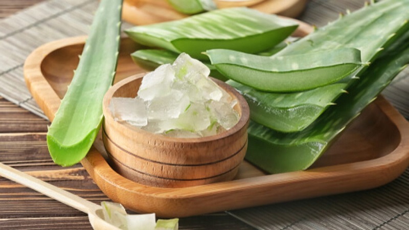 Trị Mụn Không Cần Mỹ Phẩm: Bí Quyết Toàn Diện Từ Thiên Nhiên Cách sử dụng lô hội (aloe vera) cho da an toàn, giảm kích ứng
