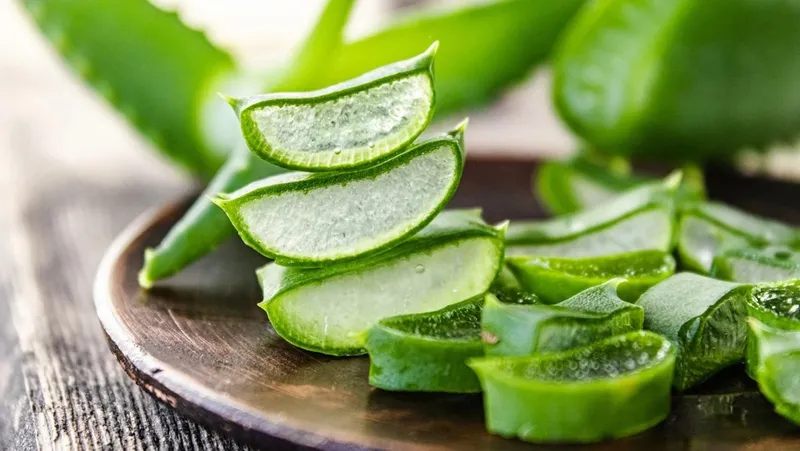 Gel nha đam tươi, phương pháp dân gian làm dịu mụn đầu đinh sưng tấy