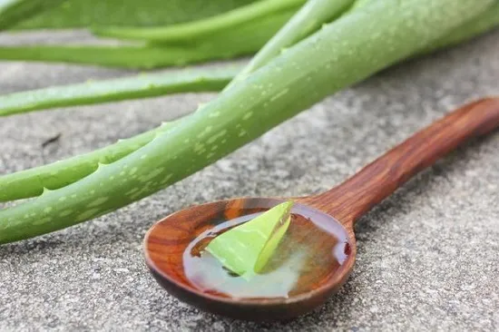 Gel lô hội đang được thoa lên da mặt để trị mụn đầu trắng tại nhà.