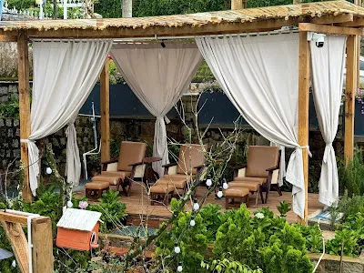 Tiệm Gội An Yên (3)